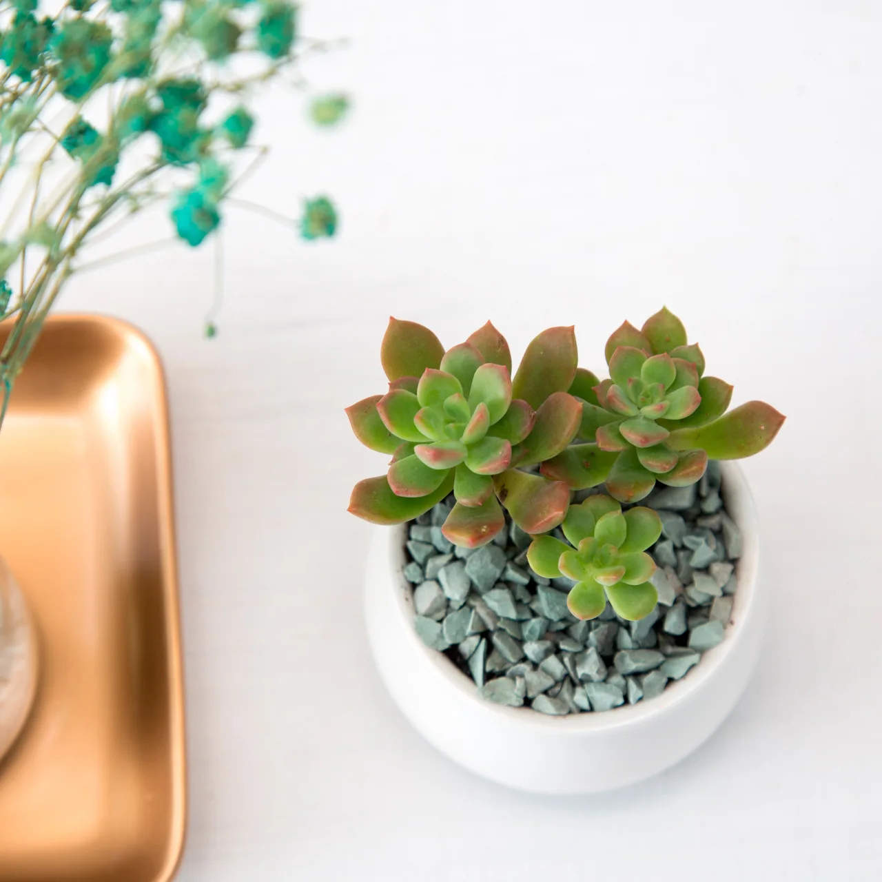 Good Quality White Porcelain Vase With Round Belly Succulent Ceramic Flower pot for Garden Pots & Plasters