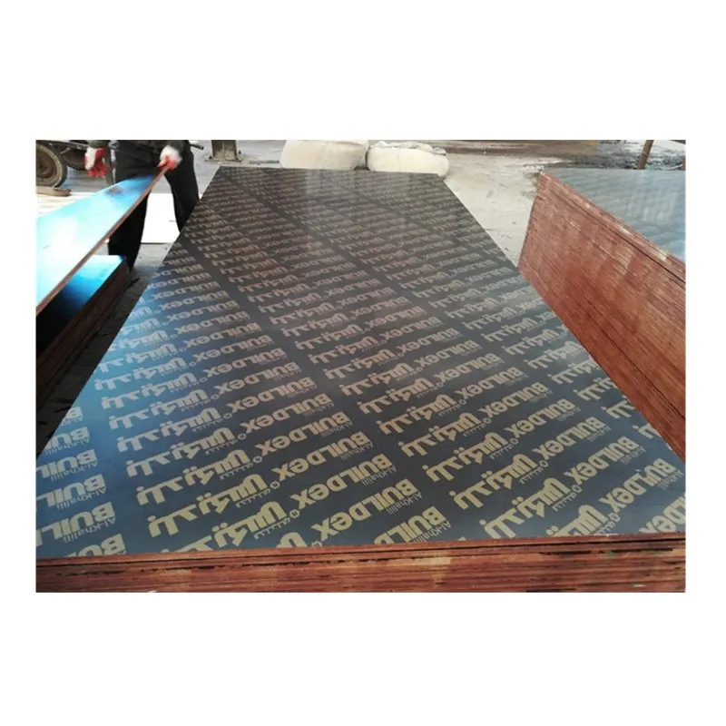 eucalyptus  wood timber 18mm marine plywood price in kerala