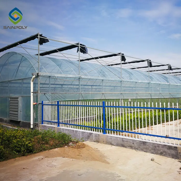 Low cost green house mushroom growing greenhouse