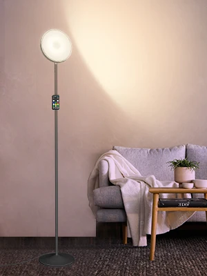 Modern Standing Lighting RGB Tall Pole Floor Lamp With Remote For Living Room