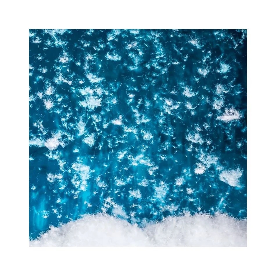 
China Hot Sale Bulk Fluffy 90% Washed White Duck Down Filling Material Duck Down 