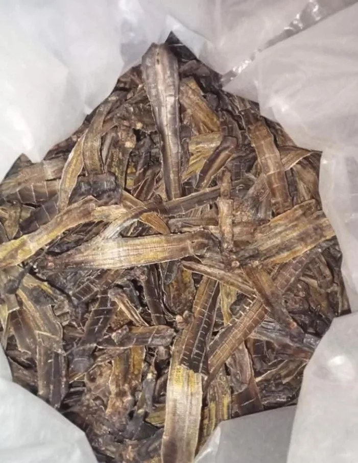 HOT-HOT Export Wholesale Dried Earthworm from Vietnam for Food Use Best Price Choice