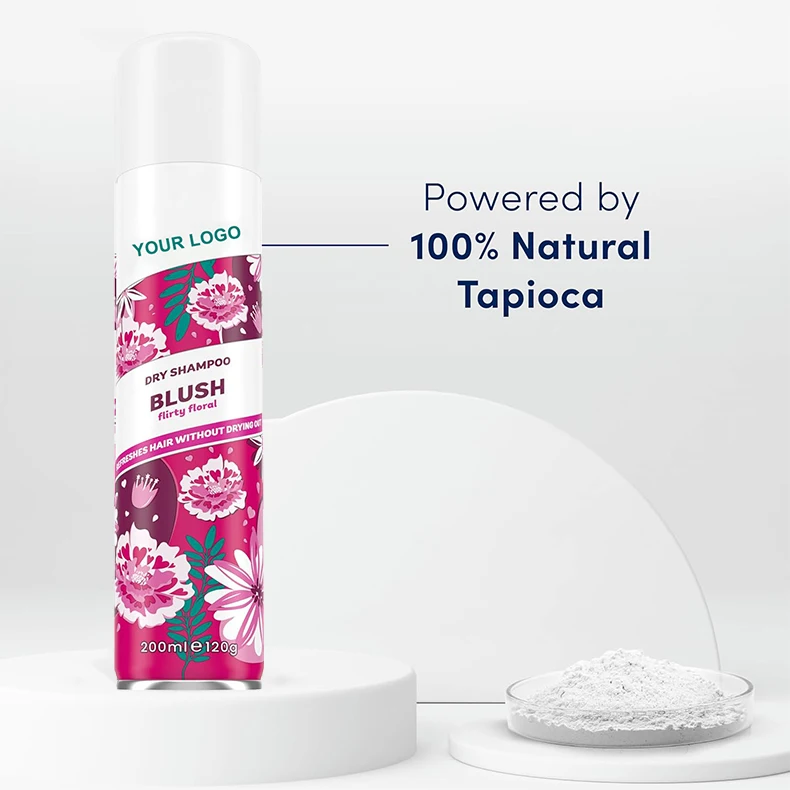200ml Private Label Hair Care Product Organic Vegan Dry Shampoo Powder Aerosol OEM Iron Cans Dry Shampoo Spray