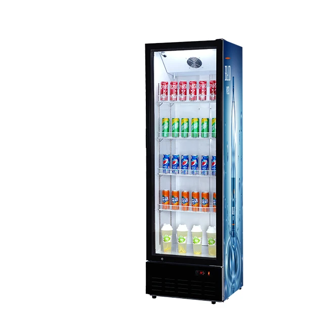 Fan Display Refrigerator Portable Gas Compressor Painting Cooling Top Wine And Beverage Coolers