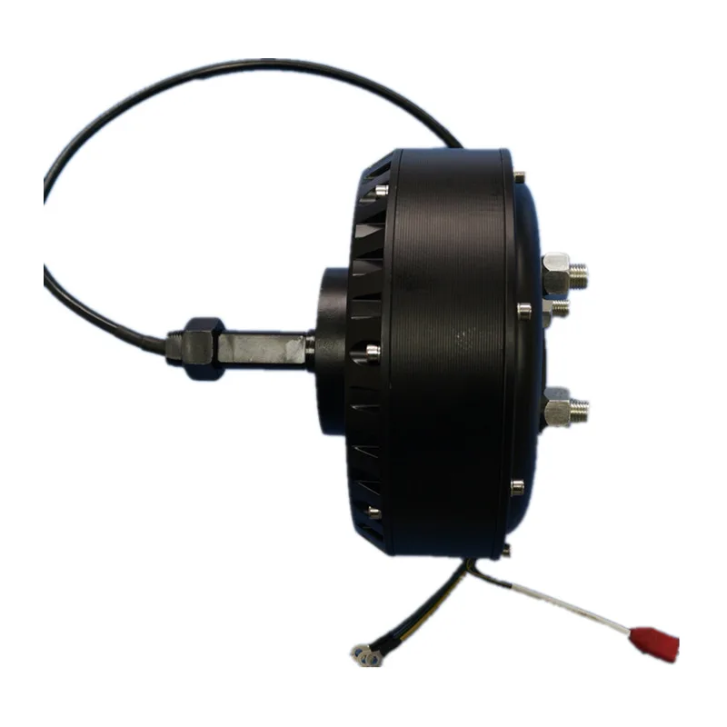 QS205 QS273 qsmotor motorcycle accessories motorcycle motor WITH EBIKE BATTERY