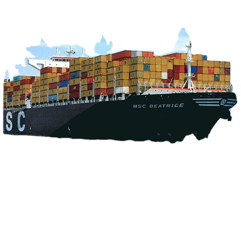Cheapest Top 10 International Sea Freight Forwarder  From China To Canada  USA Amazon