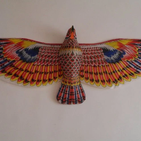 promotional  Easy fly 3D big bird eagle kites