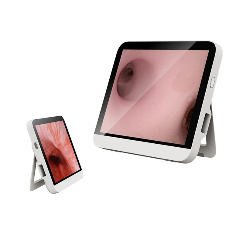 Geyi Portable Image Processor Endoscope Camera Monitor HD