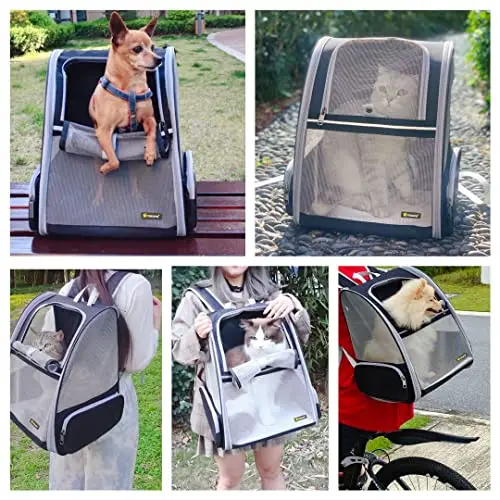 Accept Logo Customization Innovative Traveler Transparent Breathable Backpack Pet Carriers for Cats and Dogs
