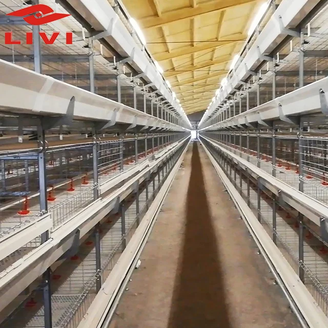 New Design Reasonable Price Chicken Poultry Farm Broiler Battery Cage for Growing Broiler Chicken Rate Cages