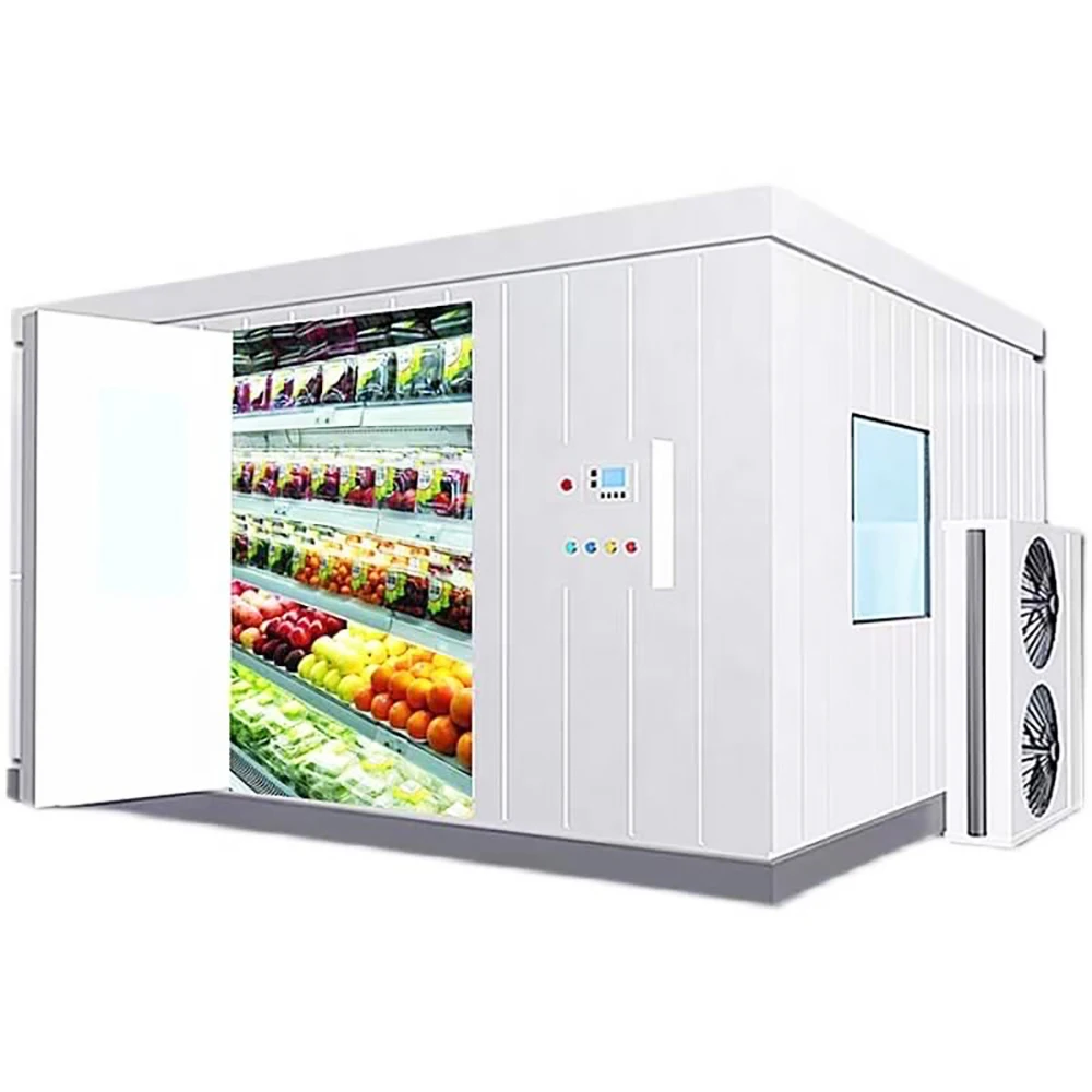 FENGSHUN High Quality Cold Room Cold Storage Room Price Cold Store Walk in Freezer for Fish