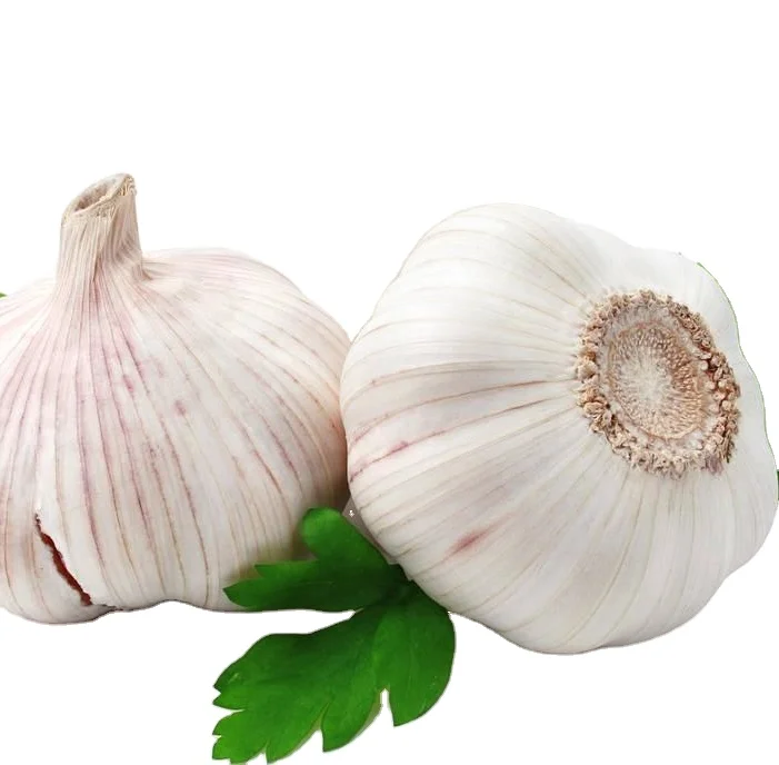 China/Chinese Fresh White Garlics Supplier (red garlic/white garlic) 500G/1KG