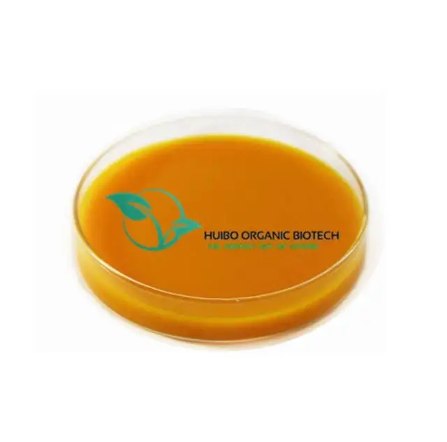 sea buckthorn powder / dried sea buckthorn berries powder for juice