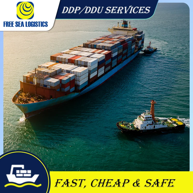 customs clearance services Agent From China to Saudi Arabia/UAE  DDP freight forwarder sea shipping