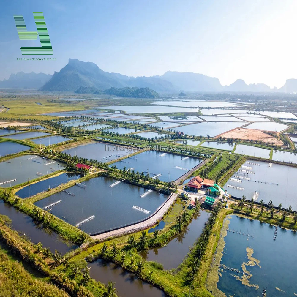 HDPE Textured Waterproof Geomembrane for Landfil Wastewater Mining Biogas Digester