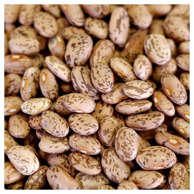 Premium Pinto Kidney Beans Products - High Quality, Best Price, Directly From Producers In Mexico