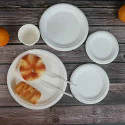 Customizable Disposable Biodegradable Sugarcane Bagasse Meat Fruit Packing Trays