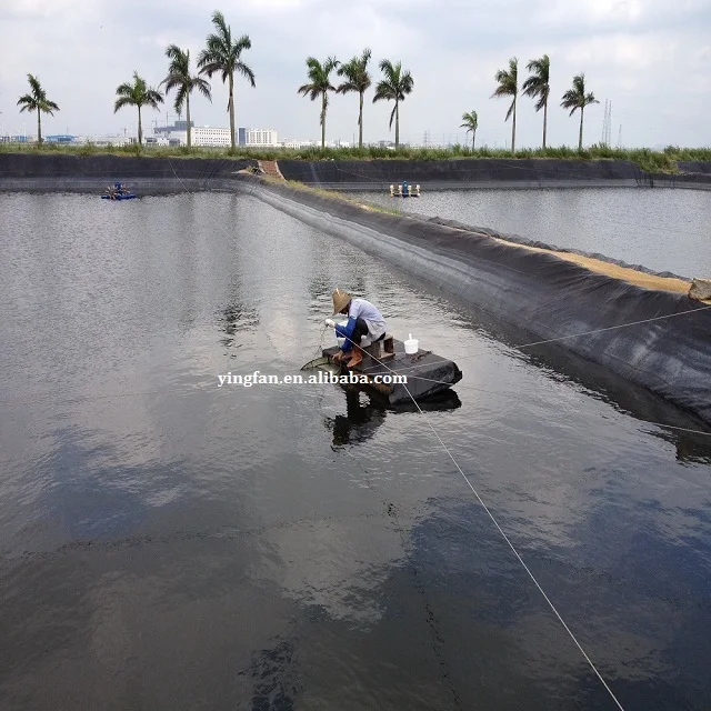 HDPE Geomembrane Waterproof Sheet Contemporary for Mining Landfill Water Reservoir 0.5mm 0.75mm 1mm for Fish Farm 1mm 1.5mm 2mm