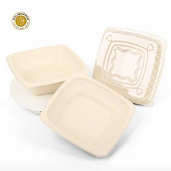 Disposable Customization Sugarcane Bagasse Tray with Lid  Eco Friendly Products Bagasse Lunch Box Container