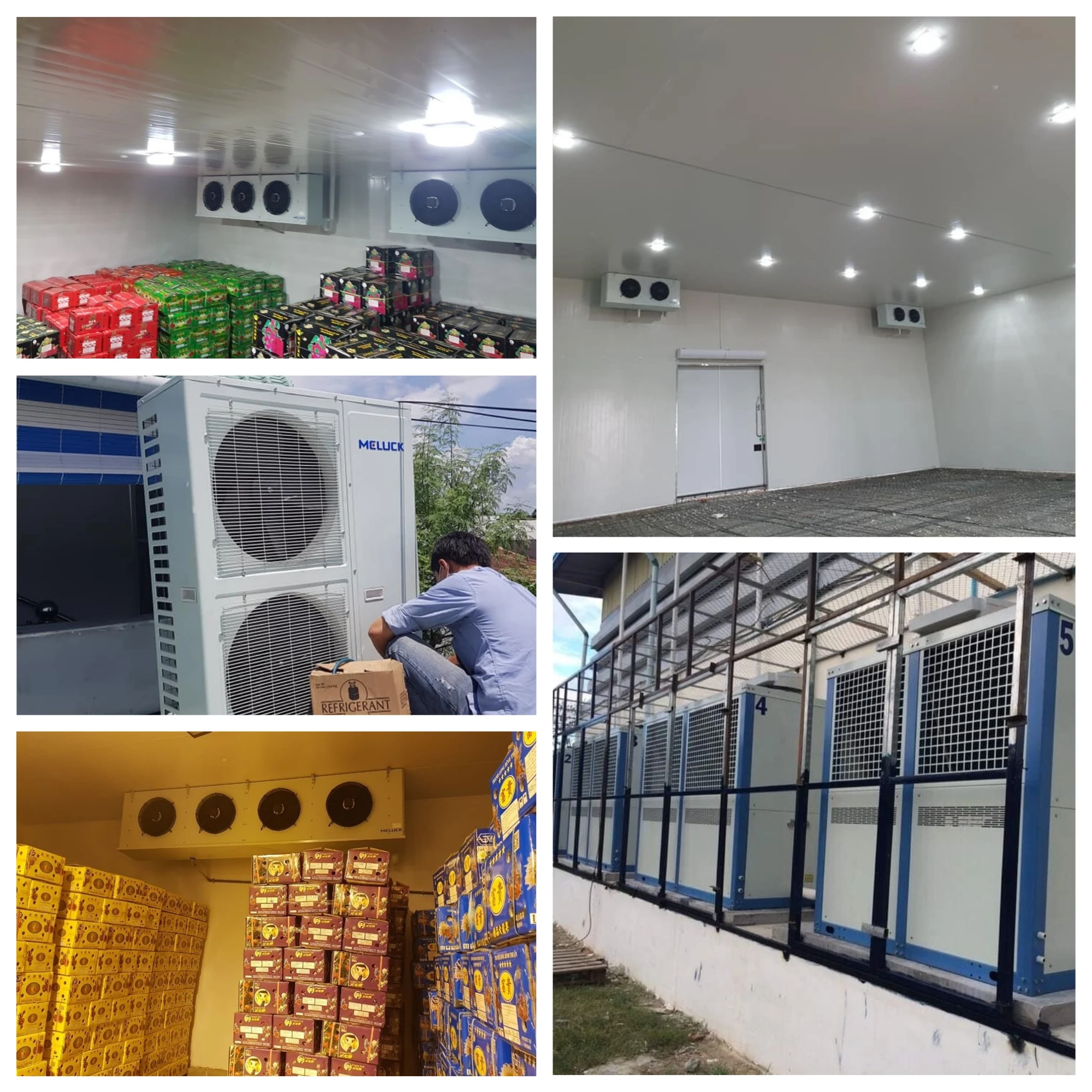 meluck project cases.jpg