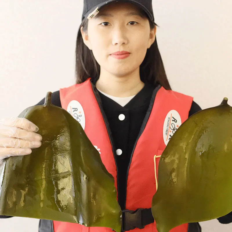 Wholesale dried seaweed Natural Products cut dried deep sea Kelp Head