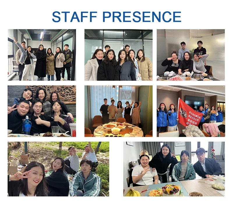 All kinds of seeds vegetable rose seed olive palm oil press machine