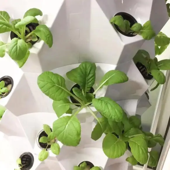 hydroponic vertical farm system Hydroponic Vertical Tower for vegetables, herbs, fruits and flowers