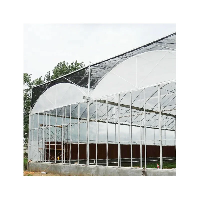
Multi-Functional Outdoor Galvanized Greenhouse Agriculture Multi Span Greenhouse For Sale 