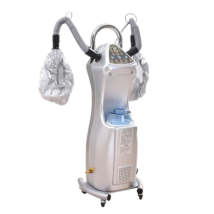 2024 Hot sale Ozone Micro-Mist Nano Hair Steamer Biochemical Instrument Dry Hair Beauty Spa Treat For Hair Salon