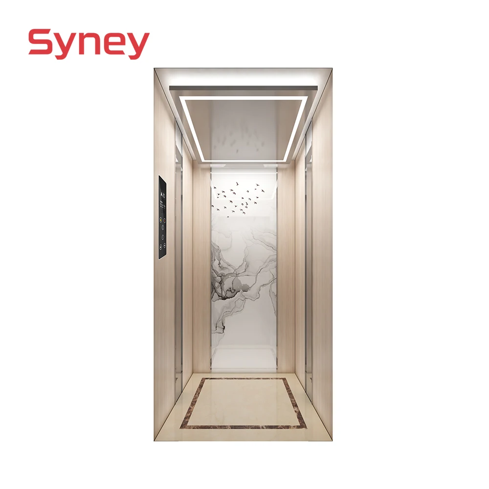 Syney Superior Quality Stable Performance Residential Villa home elevator kit