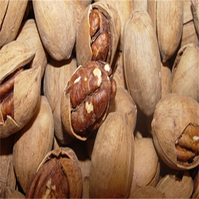 Pecan Nuts Pecan High Quality Fresh Peeled