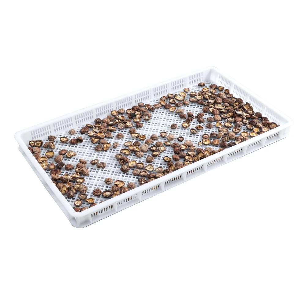 Food grade plastic drying tray for vegetables fruits and seafood