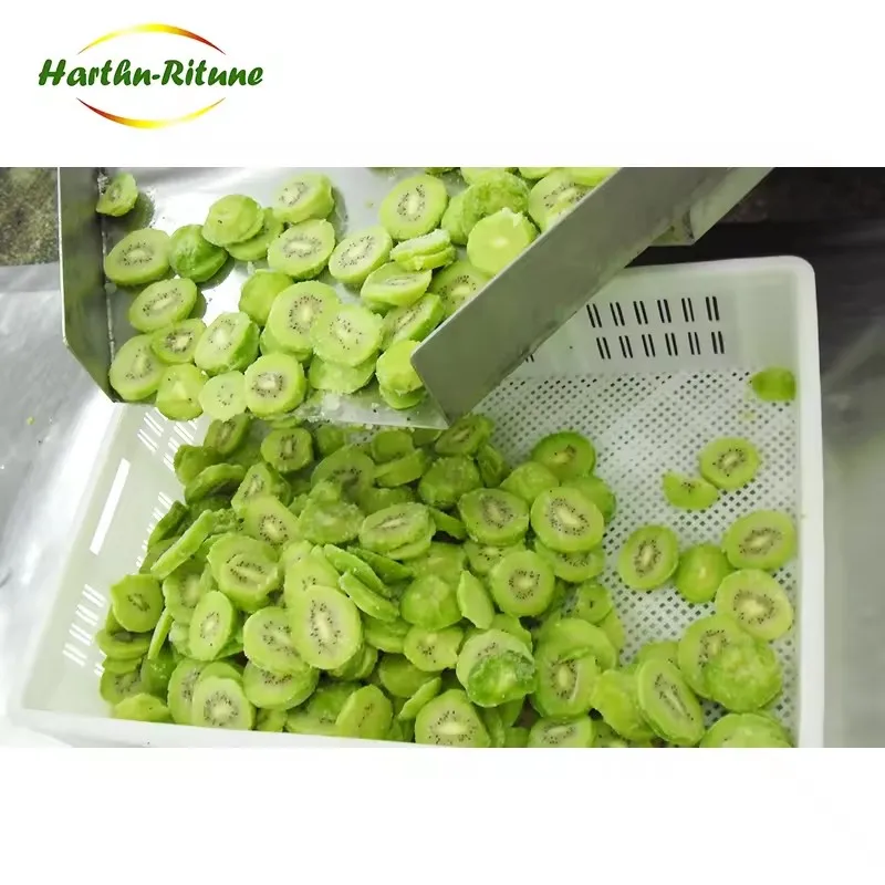 IQF Frozen Kiwi in Whole Slice Diced Fruits