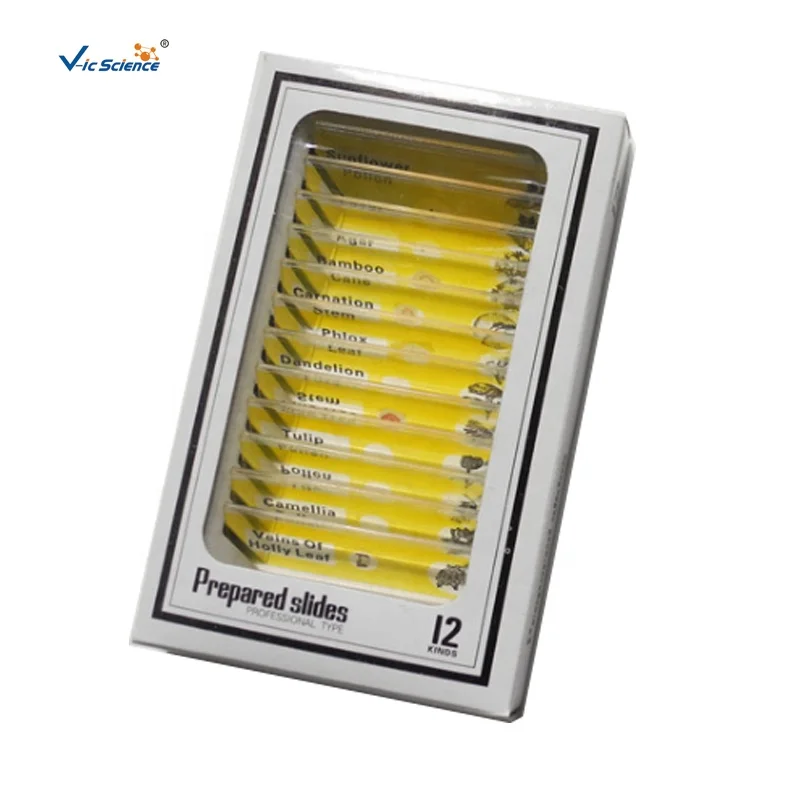 children plastic microscope slides botany microscope prepared slides plant tissue slide