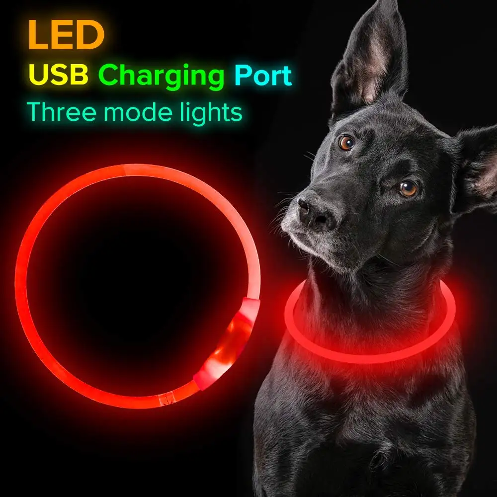 Wholesale pet Led Dog Collars USB Rechargeable Flash Led lights cat Dog Collar for small medium large dogs