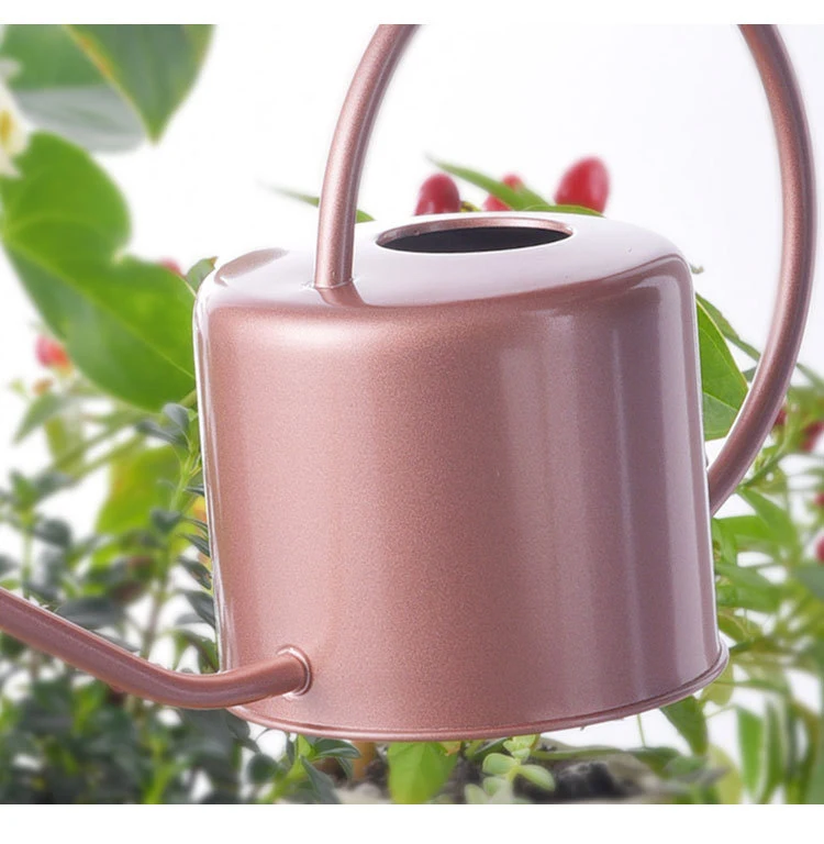 DD2528 Home Vintage Stainless Steel Watering Pot Planter Garden Flower Small Metal Long Spout Watering Can