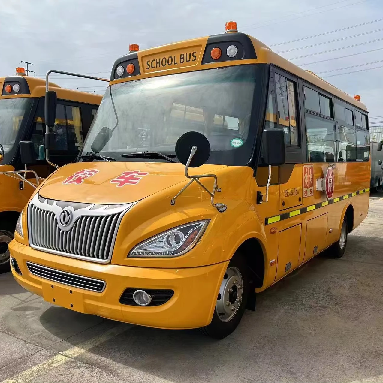 Dongfeng EQ6661ST6D детский школьный автобус 30-36 мест дизельный Детский сад Школьный