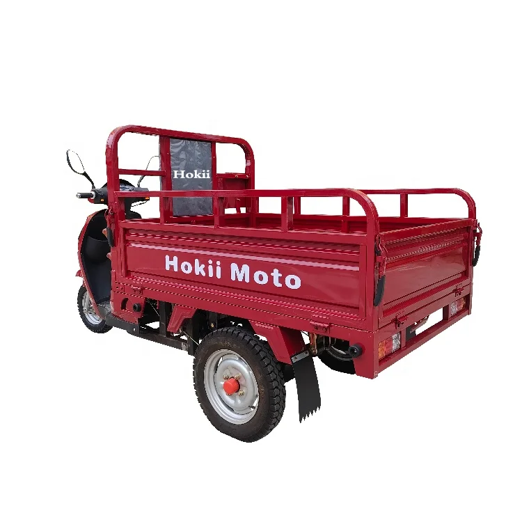 110cc Handicap Three Wheel Motorcycle Gas Powered Rusi Tricycle For The Elderly Tricycle Moto Reducteur