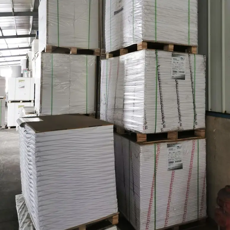 
70 80 90 100 150 230 250 Gsm Paper Cup Plate Tray Material Manufacturers PE Coated Raw Papers 