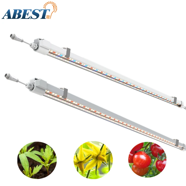 Полный спектр гидропоники садоводства роста растений в помещении ленточная лампа ip65 20 Вт Вертикальная откладки яиц led t5 растет свет бар