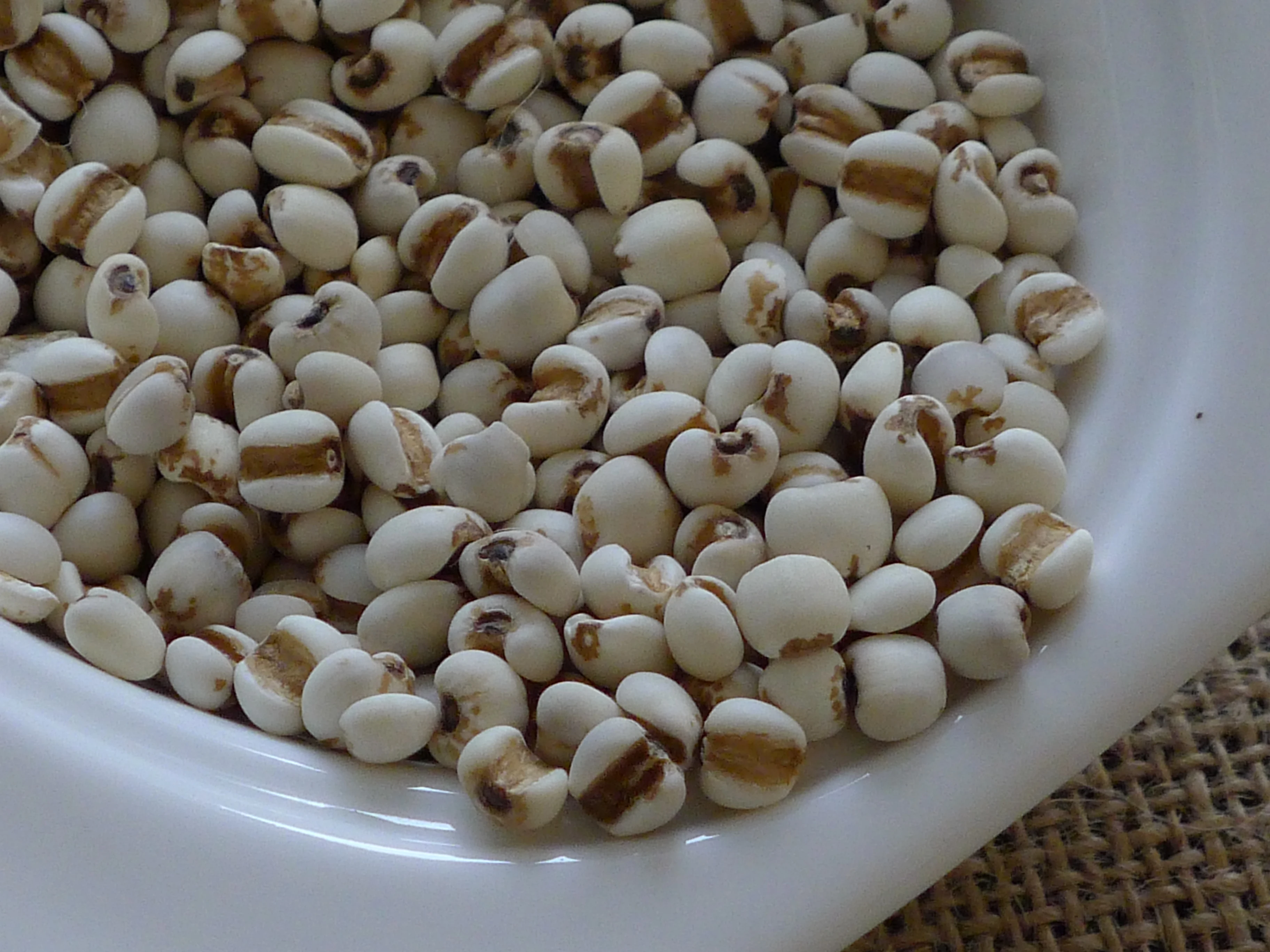 coix seeds