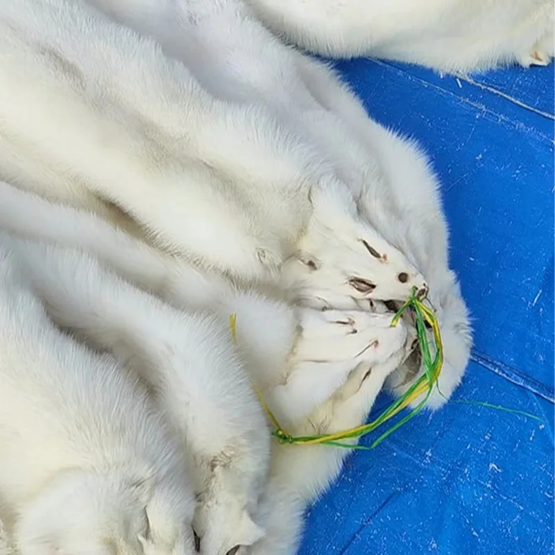 brandwhite-foxlittle  fashionFox Pelts For SaleWhite Fox Peltreal white fox furwhite fox