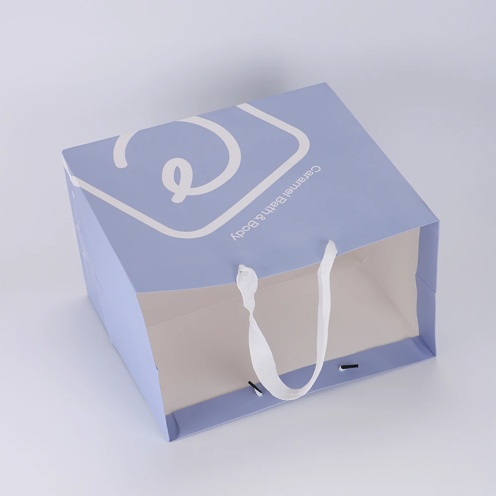 Wholesale Custom Logo Brand Merchandise Boutique Jewelry Gift Clothing Packaging Printed Paper Bag with Ribbon