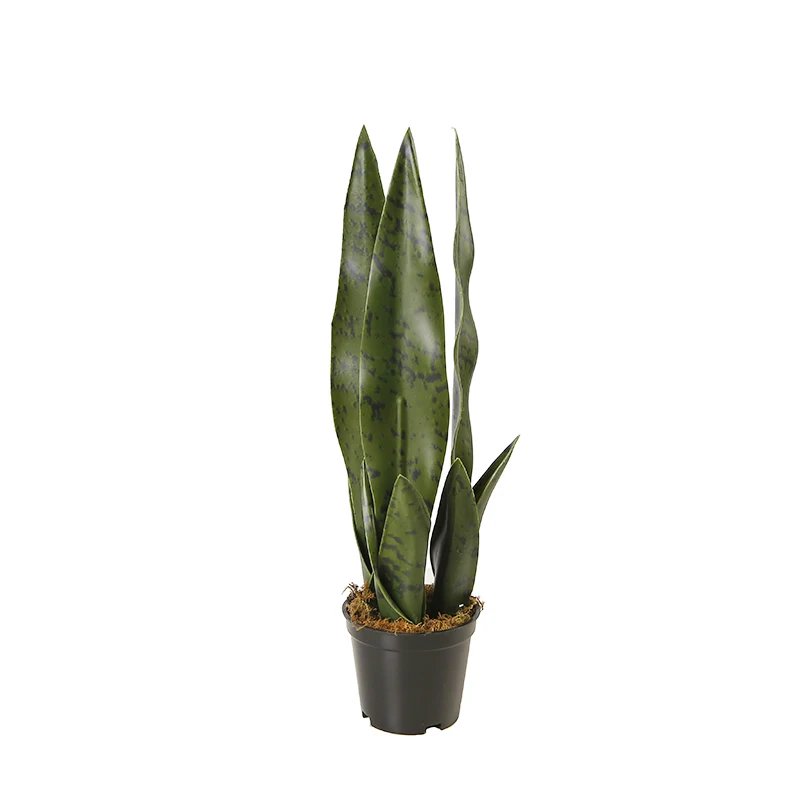Пластиковые декоративные растения Sansevieria 31 см оптом