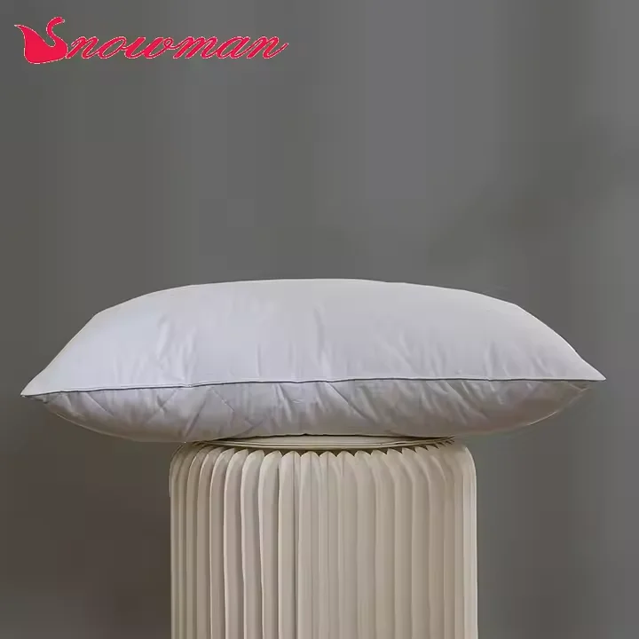 2024 New Style High Quality Cheapest Luxurious 5 star hotel pillow for Healthy Sleeping Pillow Set throw pillow