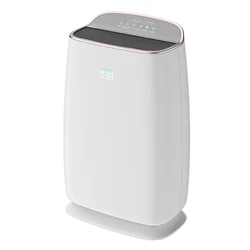 Air purifier with remote control PM2.5