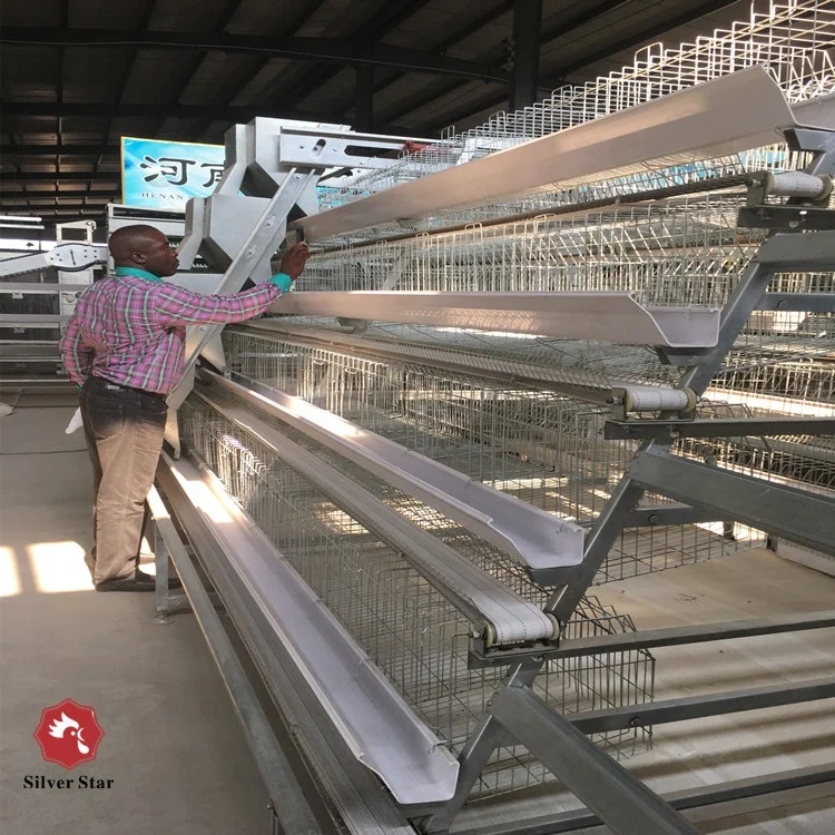 Cheap Chicken Layer Cage Price/Egg Laying Hens Cage/Chicken Cage For Sale