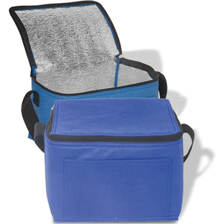 2024 New Design Thermal Cooler Bags For Ice Cream