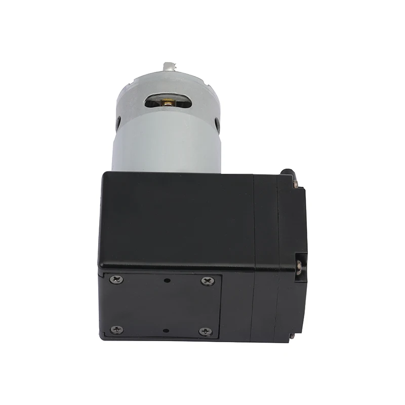 Adjustable Portable Mini Electric 12V DC Auto Vacuum Pump