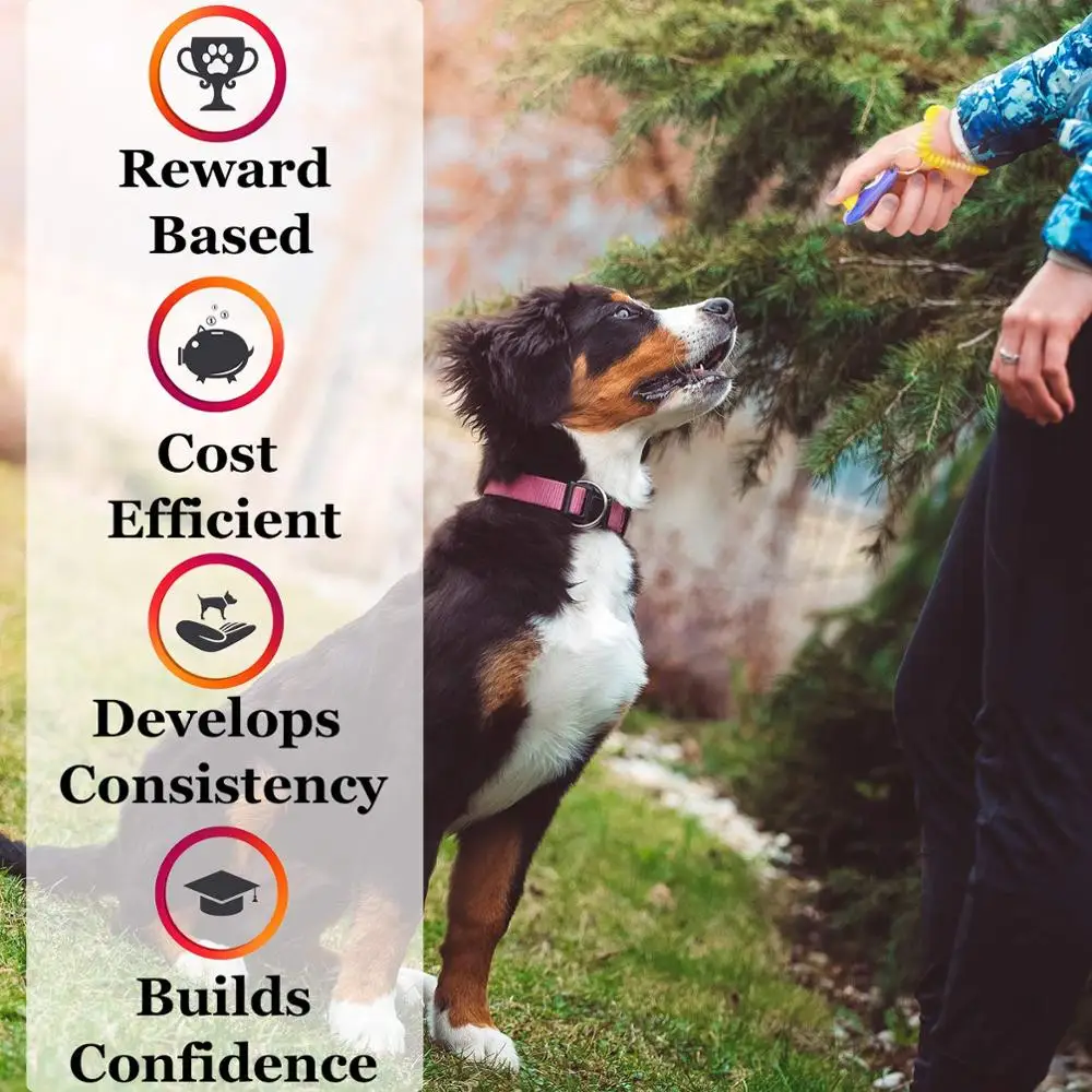 New Arrivals 2021 Universal Dog Training Clicker with Wrist Bands Strap, Colorful Dog Clickers for Pet Dog Training